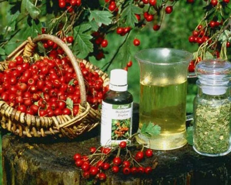 prostatit tedavisi için halk ilaçları